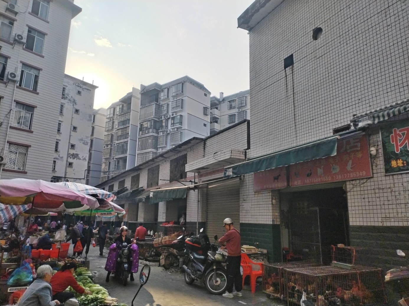 广西盐业集团有限公司河池分公司招租公告
