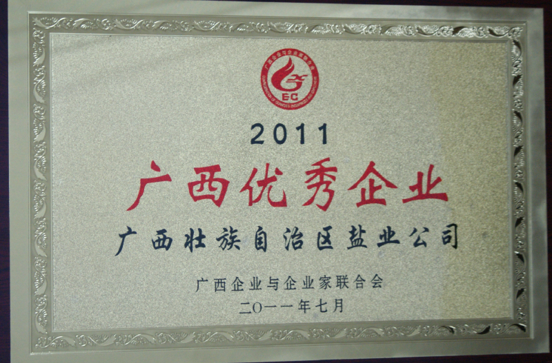 2011广西优秀企业
